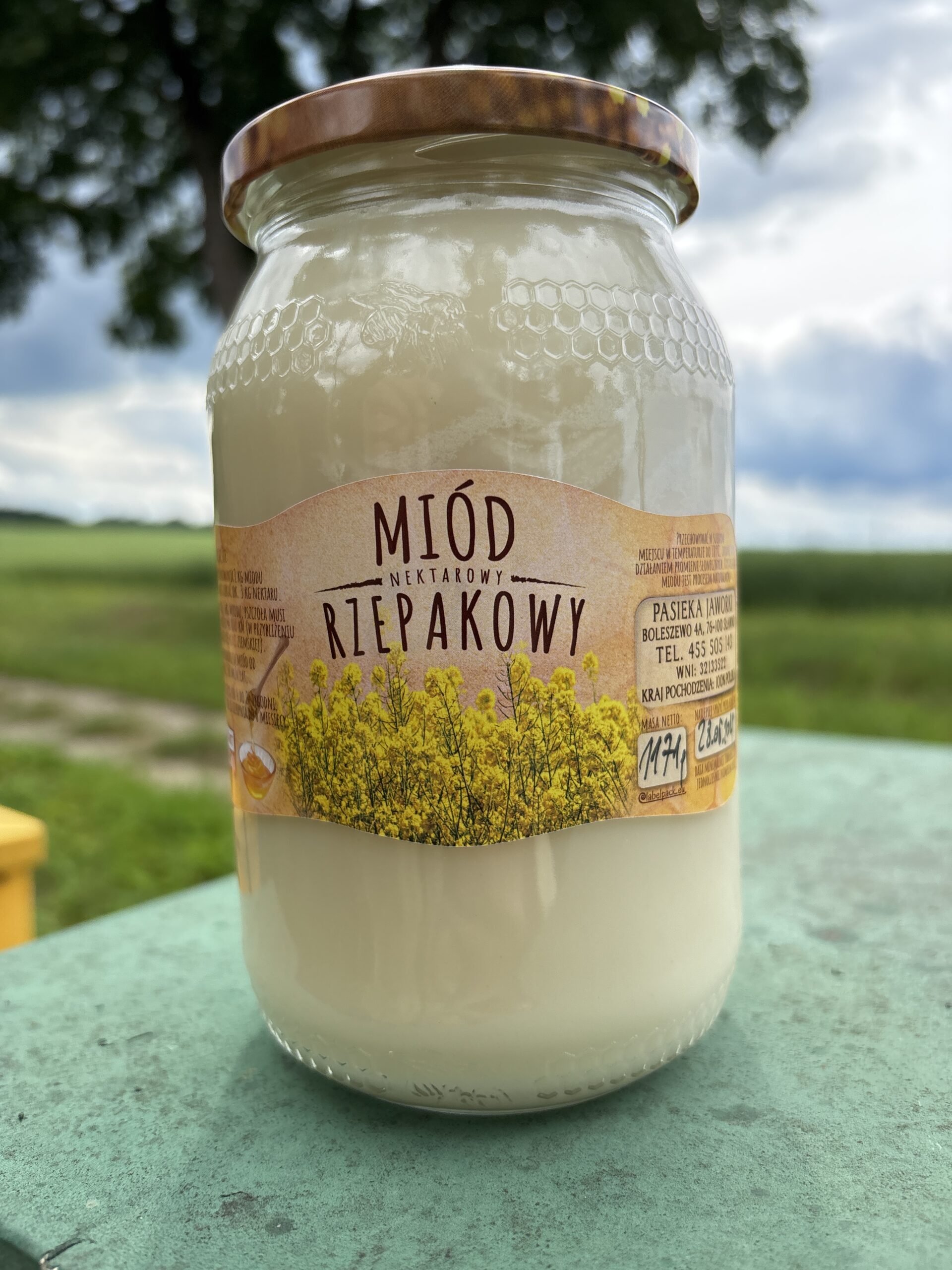 Miód rzepakowy - obrazek 5
