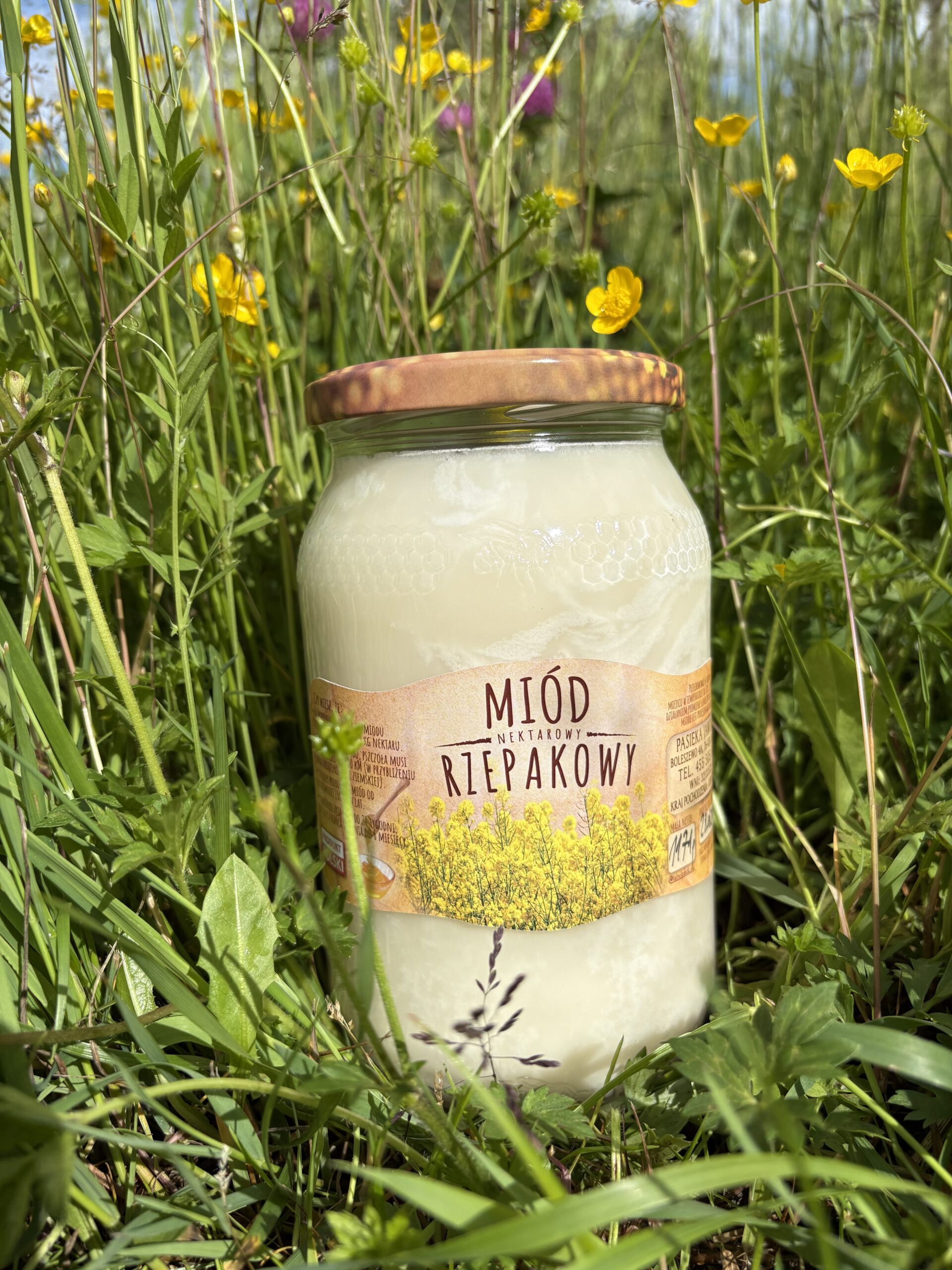 Miód rzepakowy - obrazek 6