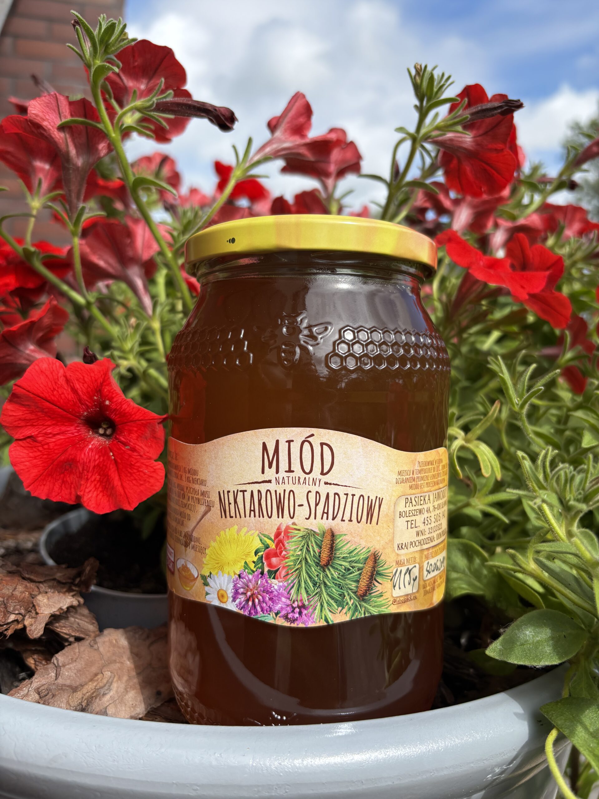 Miód nektarowo - spadziowy - obrazek 6